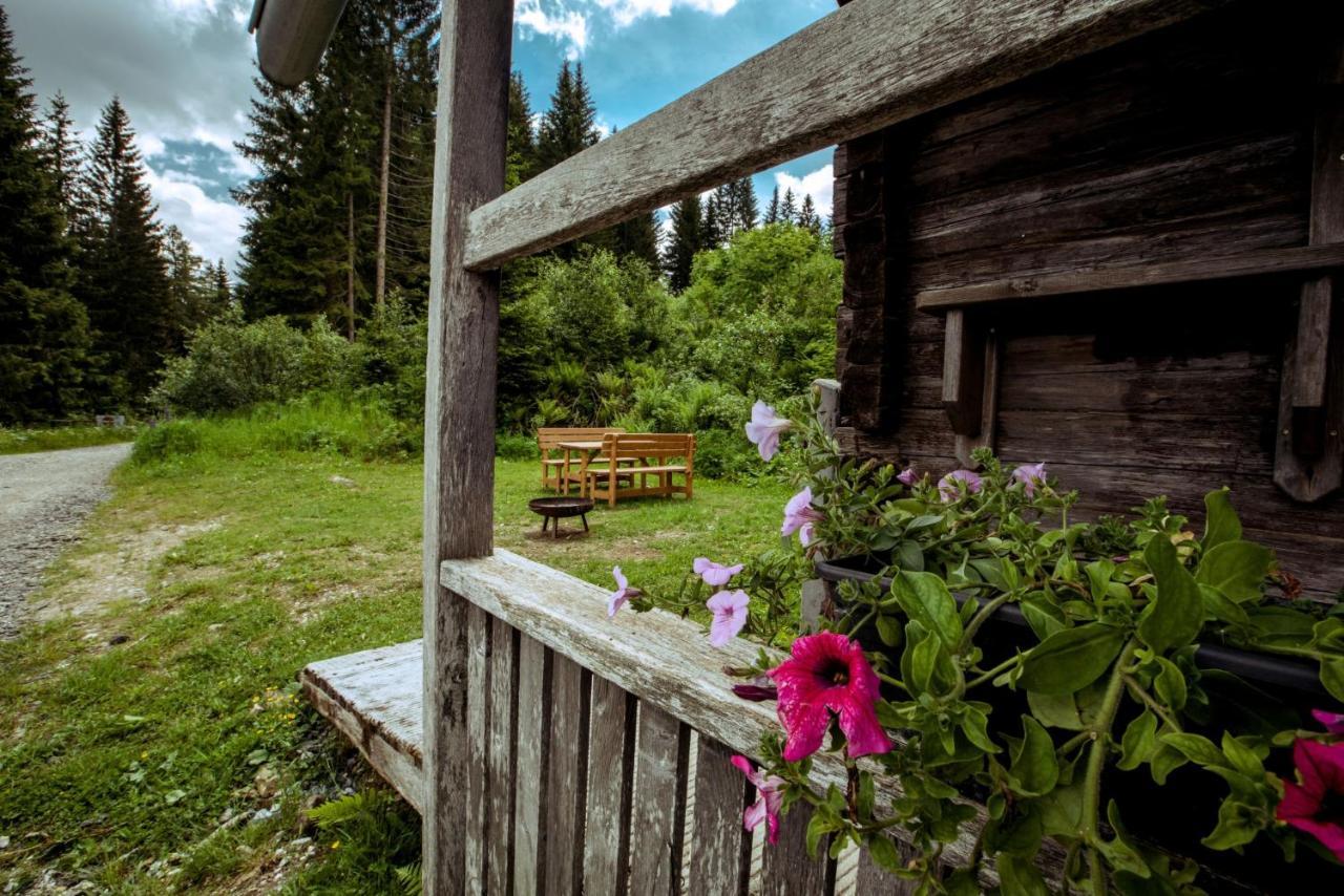 Вилла Almhuette Hebalm Pack Экстерьер фото